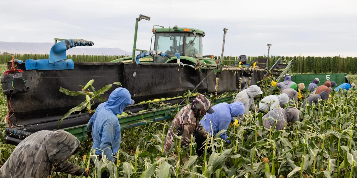 Trump’s own Labor Department quietly admits his immigration crackdown risks ‘supply shock-induced food shortages’ and higher prices